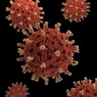coronavirus germ coronavirus germ